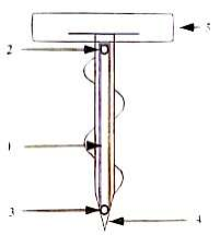 Image224_46