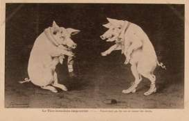 Image650_84