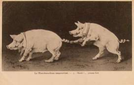 Image651_84