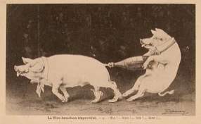 Image652_84